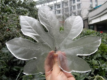 Ice Storm