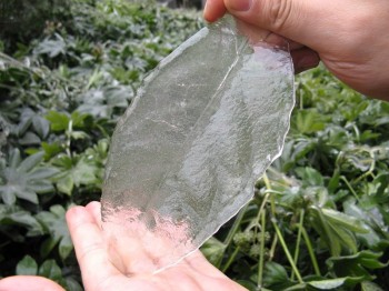 Ice Storm