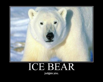 Ice Bear Judges You