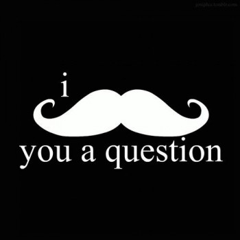 I Mustache You A Question