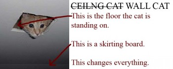 Ceiling Cat is Floor Cat