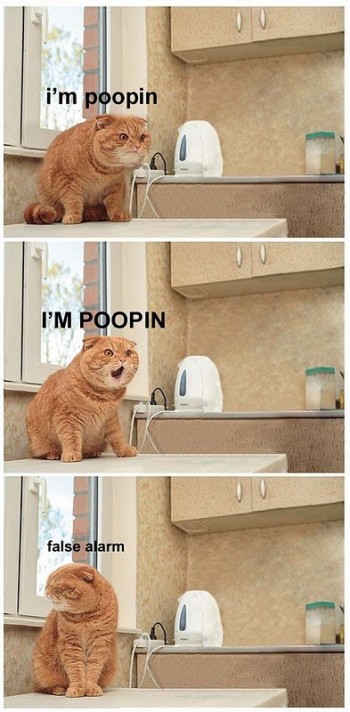 I'm Poopin'