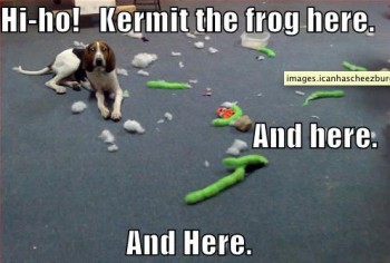 Hi-Ho! Kermit The Frog Here
