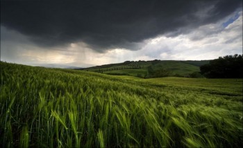 Nature's Vista