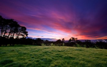 Nature's Vista