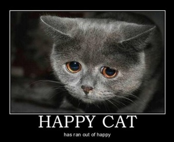 Happy Cat