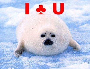 I Club U
