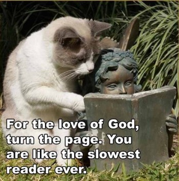 Slow Reader