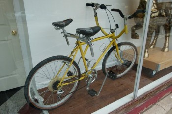 Sociable Bicycle