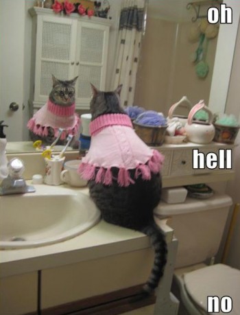 Kitty Dress