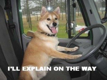I'll Explain On The Way!