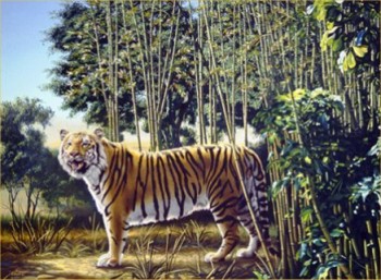 Can you find the hidden tiger?