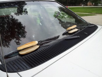 Woke up to these on my windshield wipers this morning