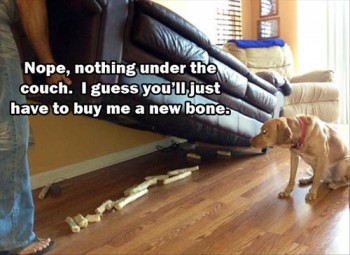Under The Couch