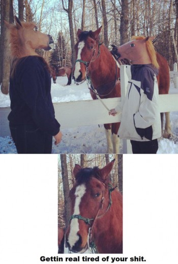 Horse Heads