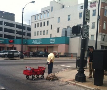 Walking His Tortoise