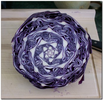 Natural Geometry in Cabbage