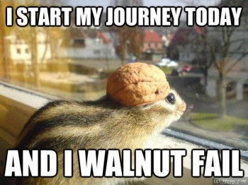 Walnut Journey