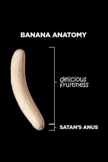 Anatomy of a Banana