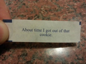 Fortune Wants Freedom