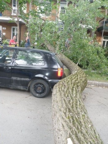 Luckiest Car Owner Ever?