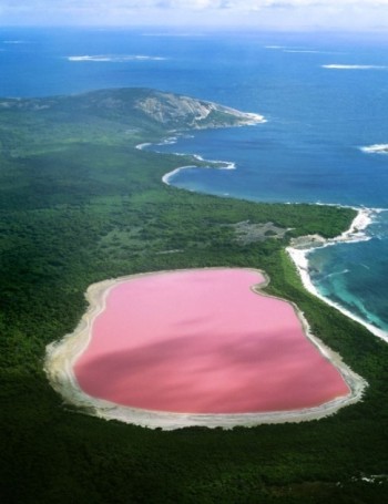 Pink Lake in Western Australia