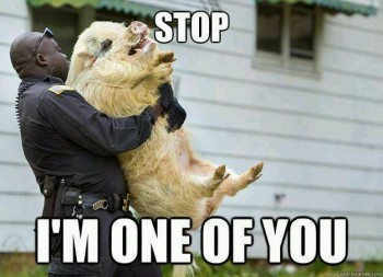 Stop!