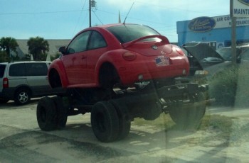 Big Bug