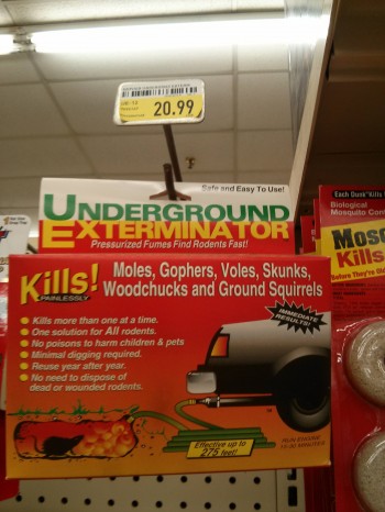 Mole Suicide?