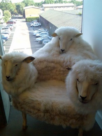 Sheep Chair