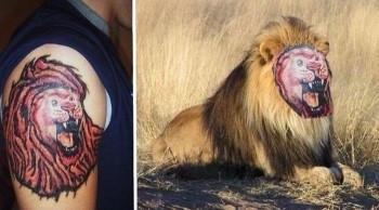Amazing Lion Tattoo