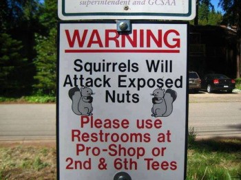 Warning: Squirrels Will Attack Exposed Nuts