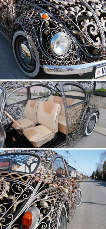Lacy Beetle