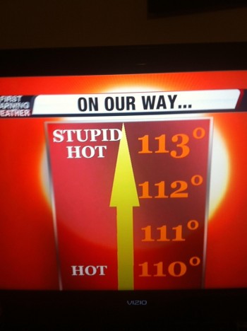 Stupid Hot