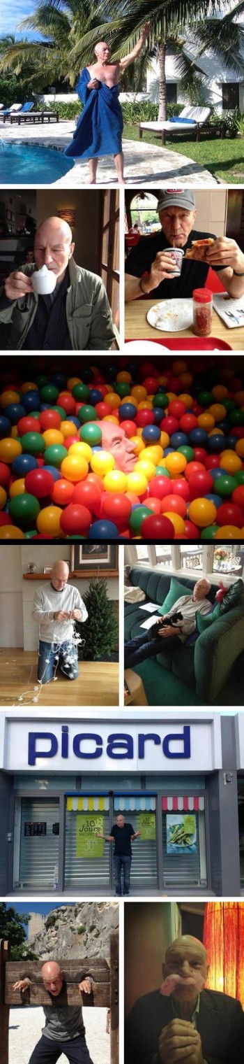 Just Patrick Stewart