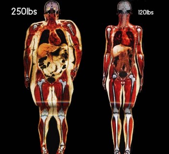 250lbs vs 120lbs