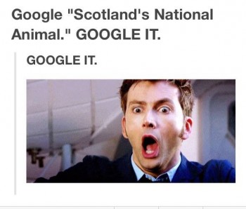 Scotland's National Animal - Google It!