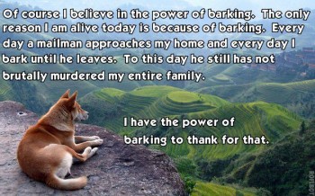 The Power of Barking