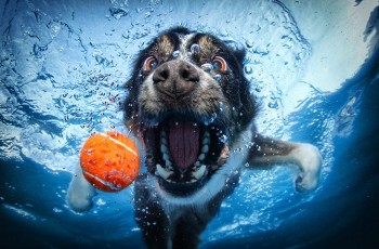 I Love My Ball
