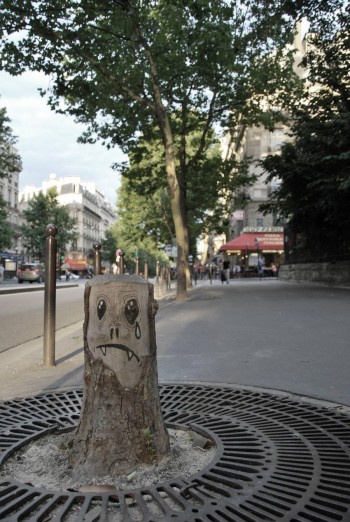 Sad Stump