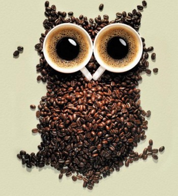 Coffee Owl