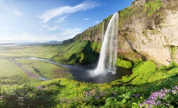 Beautiful Waterfall