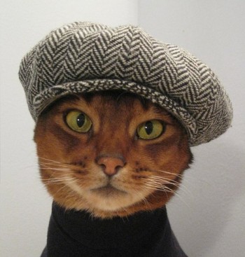 Jazz Cat