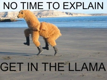 No Time To Explain!