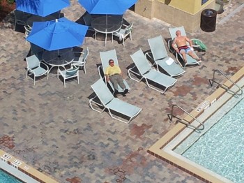 Soaking-up Some Sun!