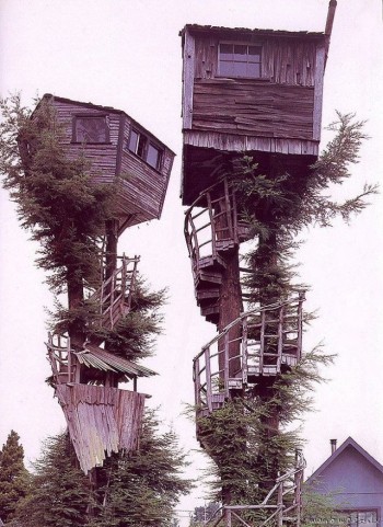 Tree House
