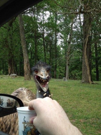 Nature - You Scary
