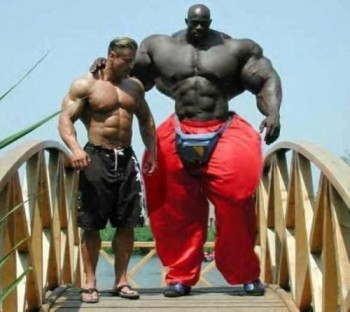 Needs More Muscle