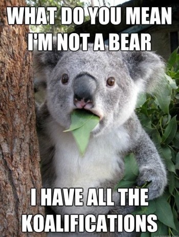 What Do You Mean I'm Not A Bear