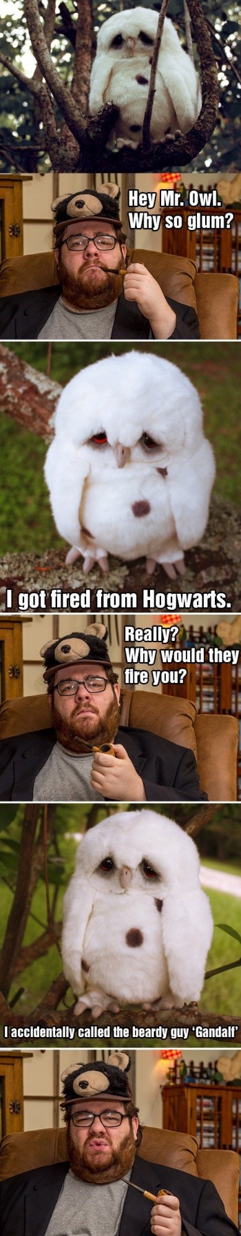 Sad Owl